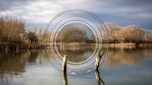 cover art for the Milk Beach track. 