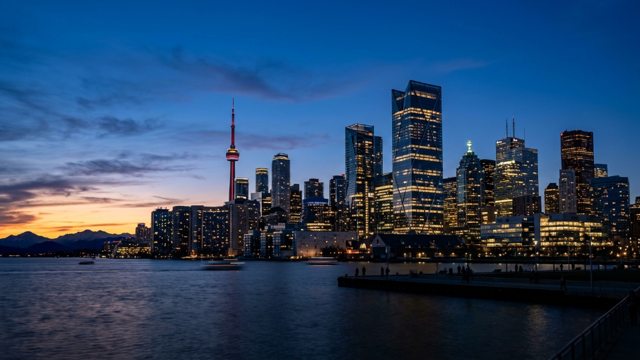 Buy Magic Mushrooms In Toronto