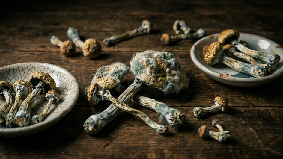 Do Shrooms Go Bad